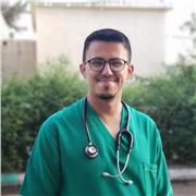 Online Englischlehrer und Englisch Arabisch Übersetzer